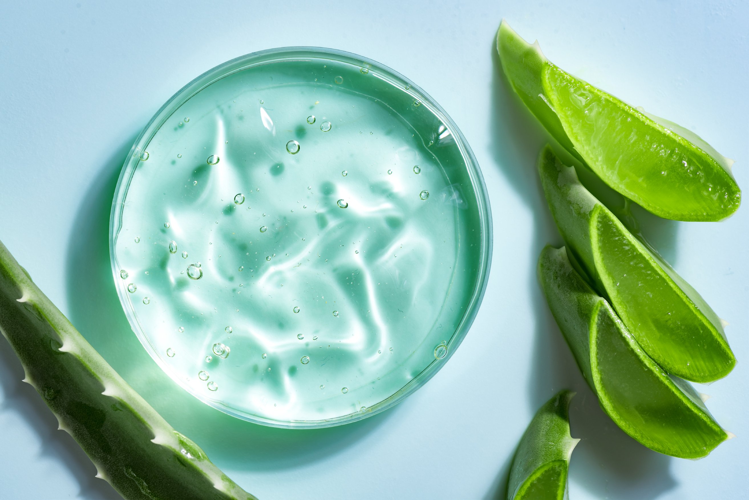 Aloe vera plant leaves and gel